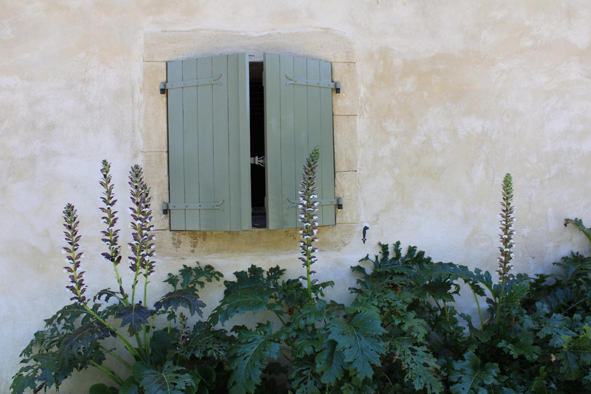 Ecogite Rural La Cle Des Champs Peyrelongue-Abos Bilik gambar