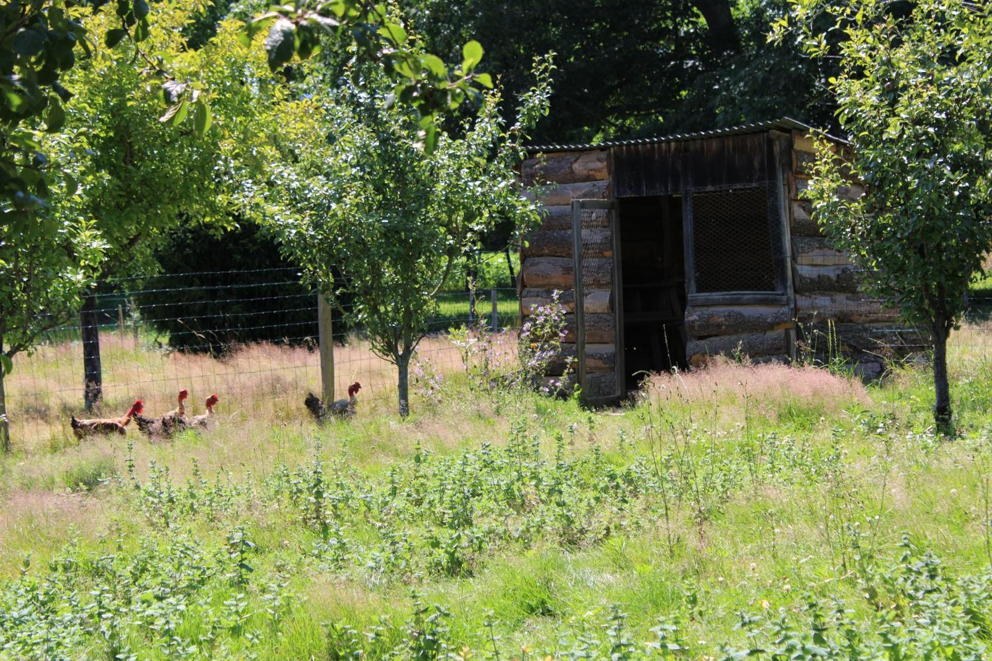Ecogite Rural La Cle Des Champs Peyrelongue-Abos Bilik gambar